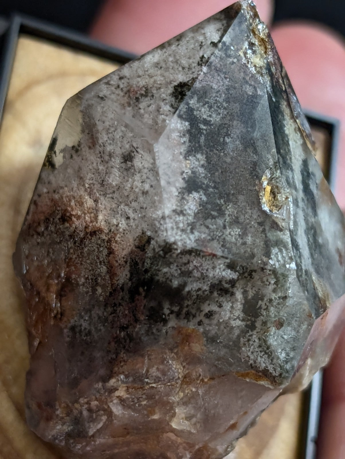 UNIQUE Phantom Quartz, w/ wood mount + photo case  - Garland County, Arkansas