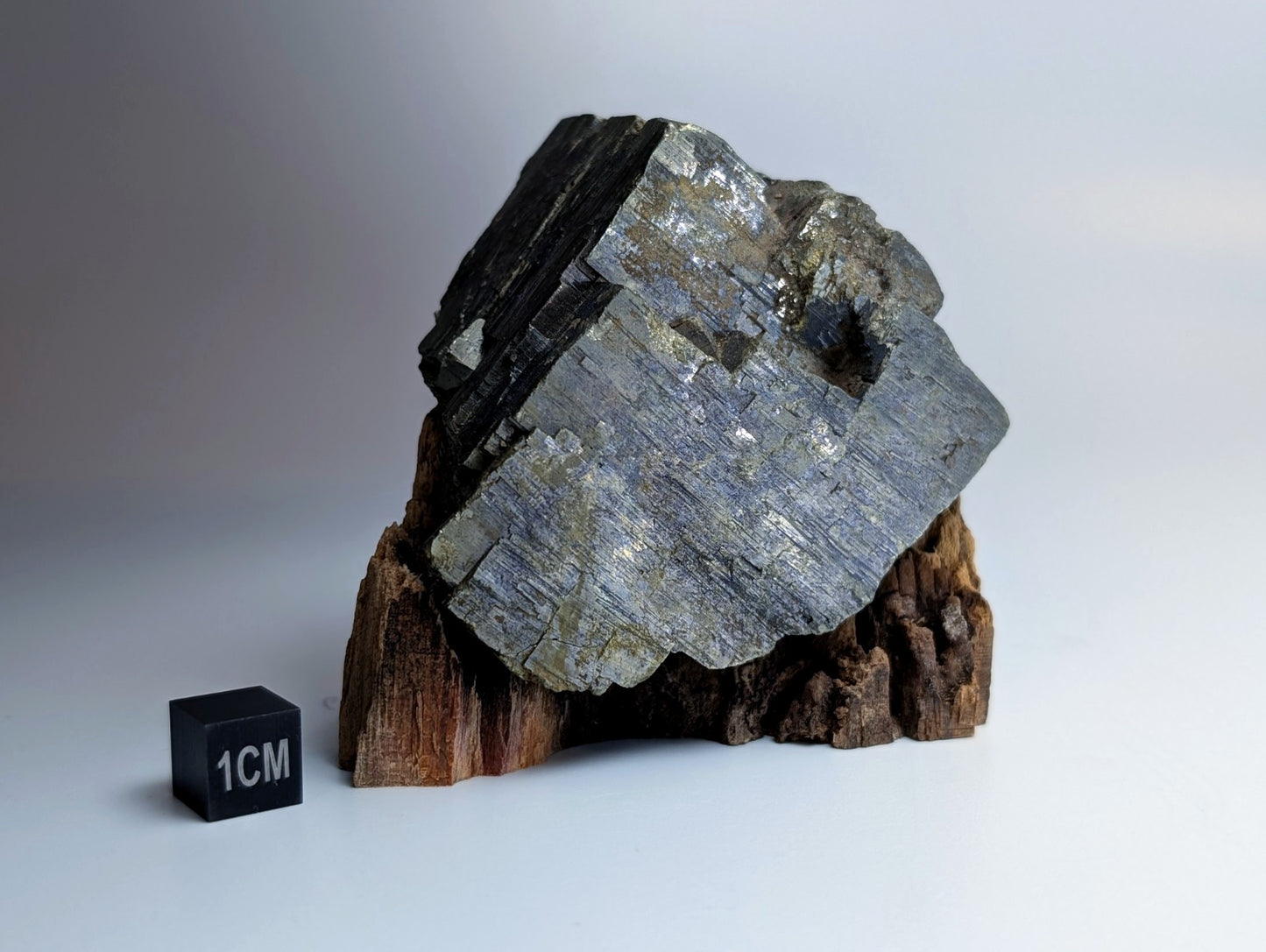 Pyrite with Molybdenum, Magnet Cove, Arkansas, USA, w/ wood display, ex Delinde