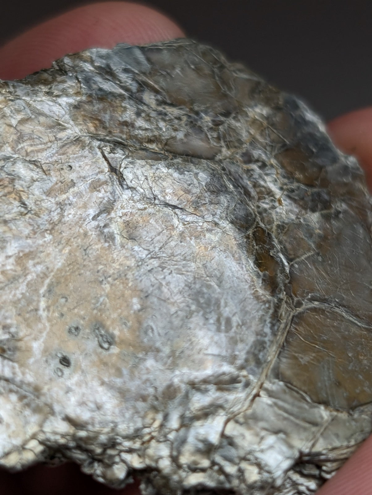 Green Mica, Magnet Cove, Hot Spring County, Arkansas, Unique Old Stock