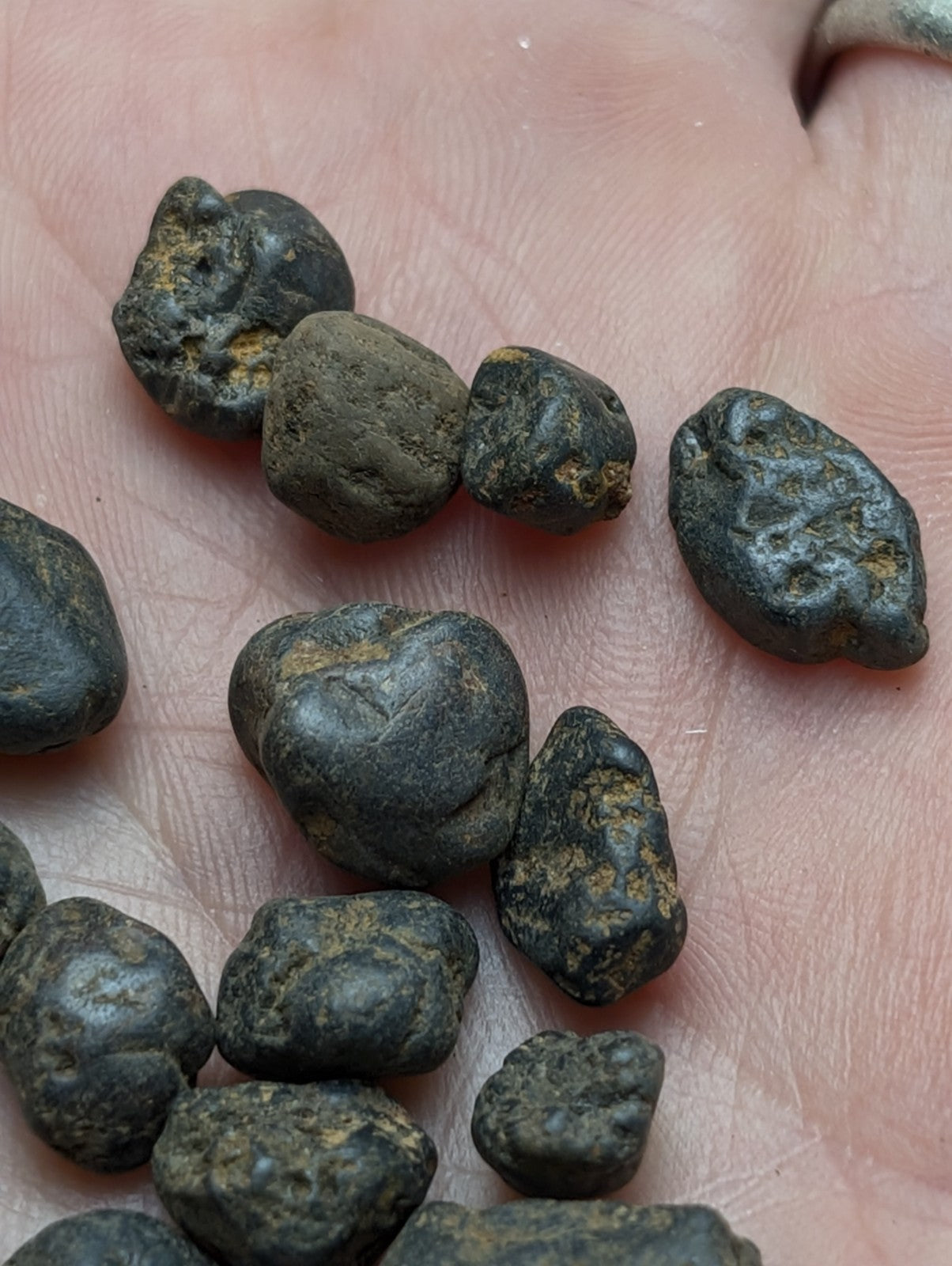 Very Rare, Placer Rutile, Arkansas, Magnet Cove, Old Stock,ex Delinde, set of 15