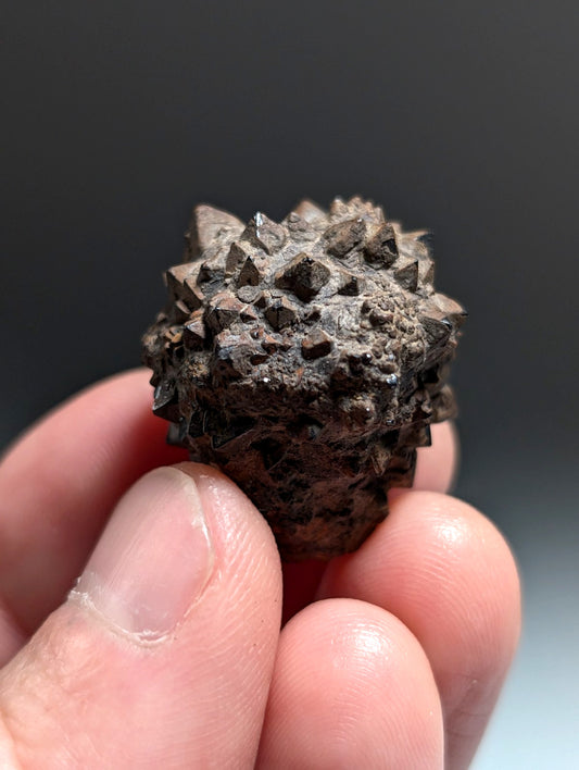 Limonite & Pyrite Pseudomorph, Benton County, Arkansas,  Ex Henry Delinde!