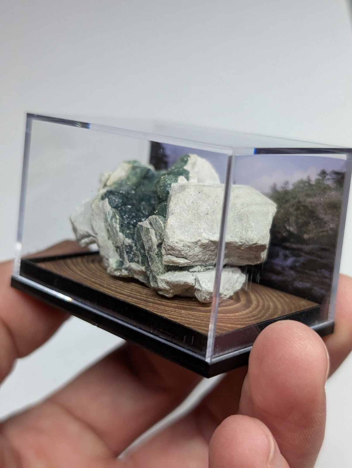 Wavellite, w/ wood mount + photo case - Old Stock - Garland County, Arkansas