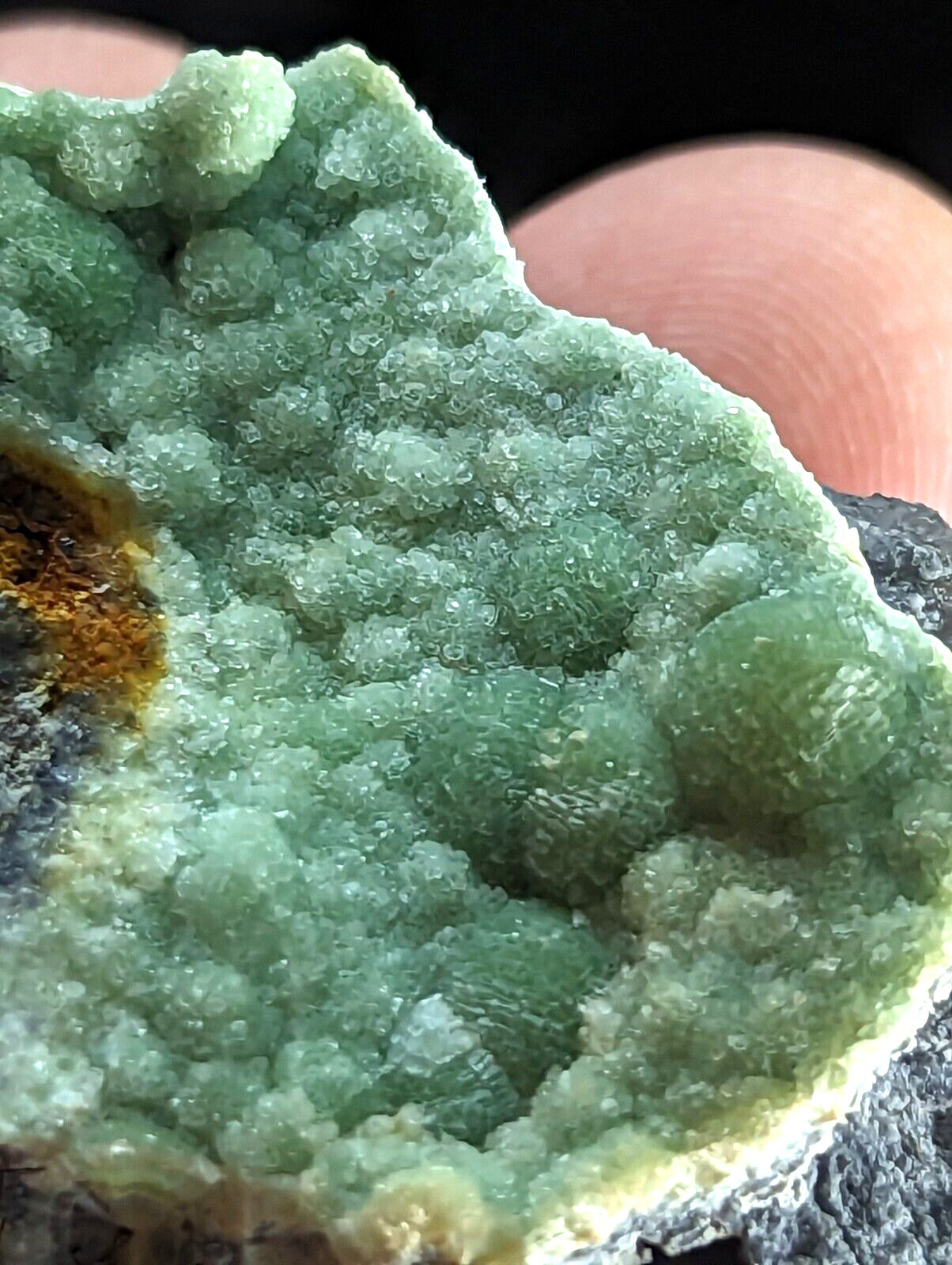 Green Wavellite + Grey Quartz - Fantastic Old Stock - Mauldin Mountain, Arkansas