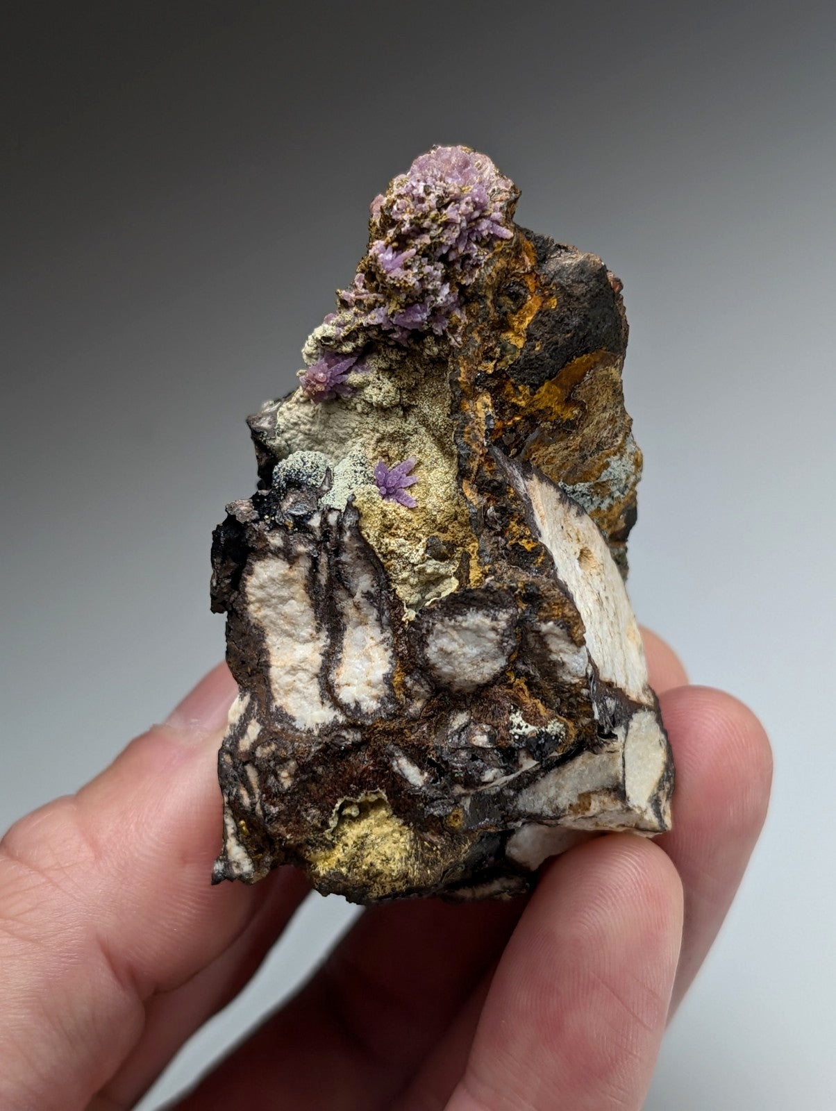 Super Rare Strengite + Kidwellite, etc, Coon Creek Mine, Polk Co, Arkansas, A+++