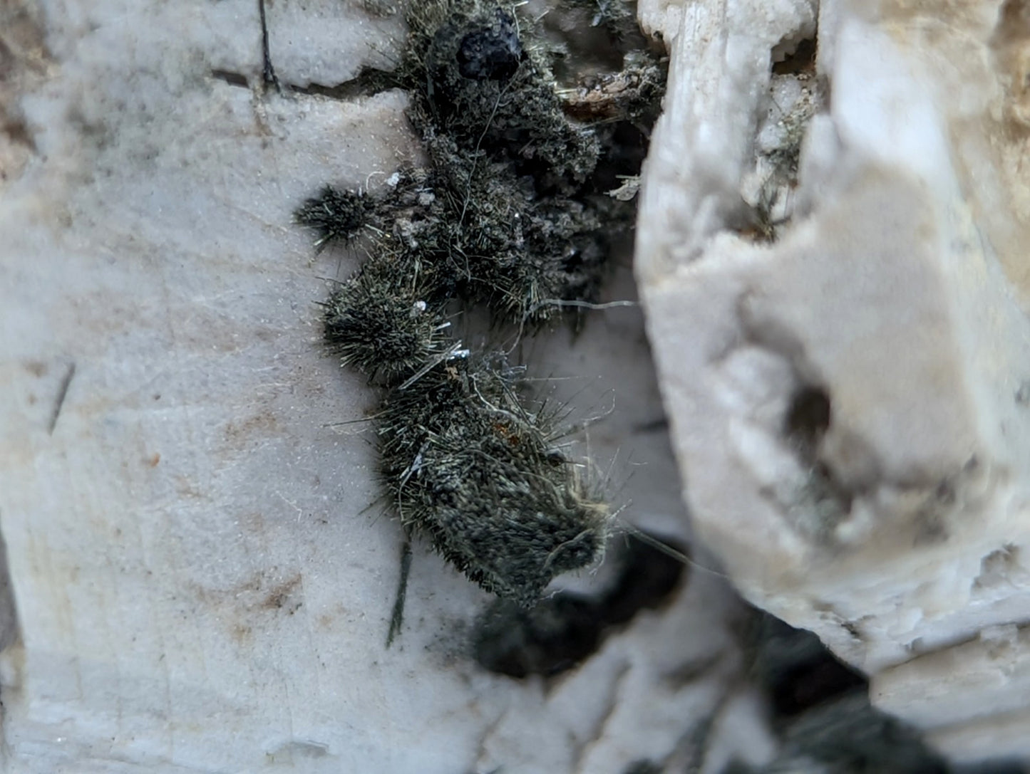 Albite, Biotite, Aegerine, Analcime, 3M Quarry, Little Rock, Arkansas, Delinde!