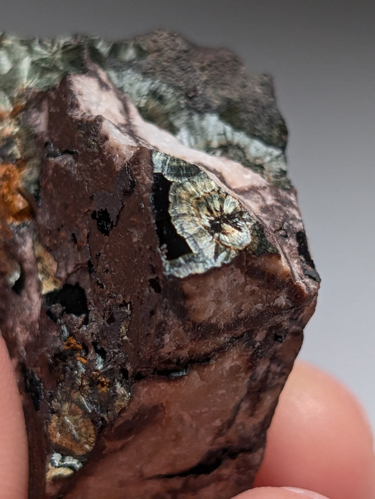 Rare Kidwellite specimen - Coon Creek Mine, Polk County, Arkansas, USA