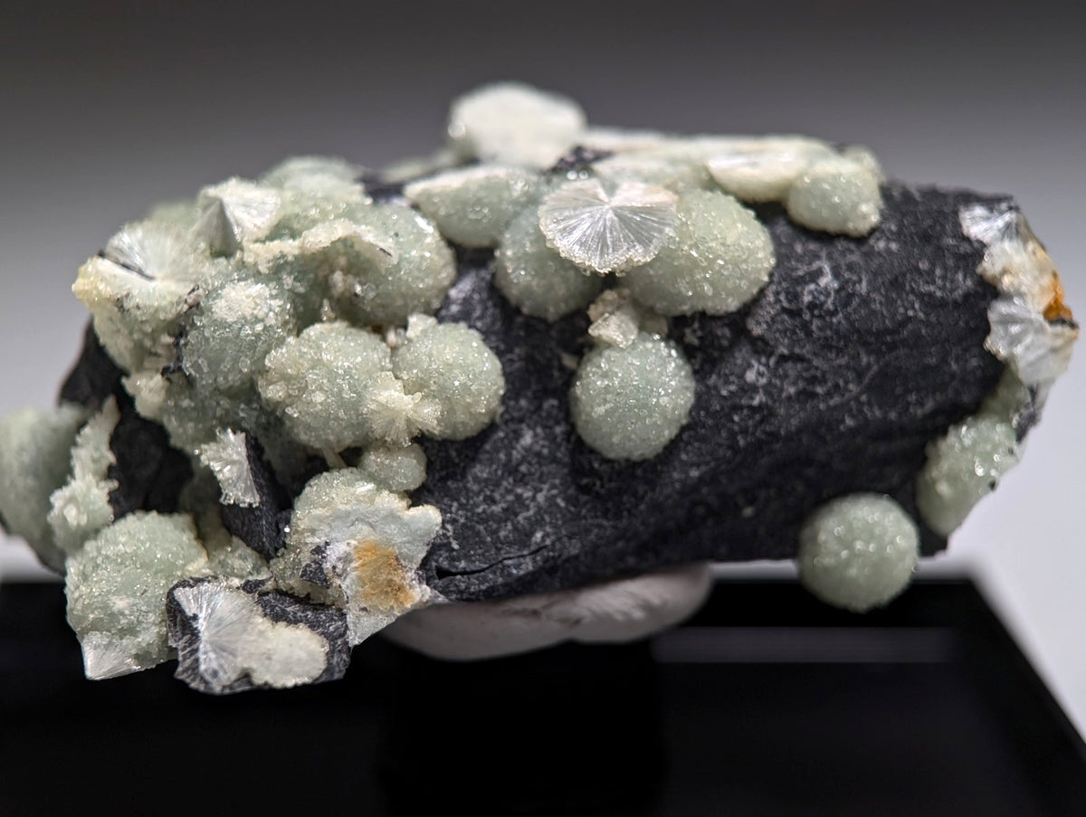 UV Reactive Wavellite - Fantastic Old Stock - Mauldin Mountain, Arkansas, Rare