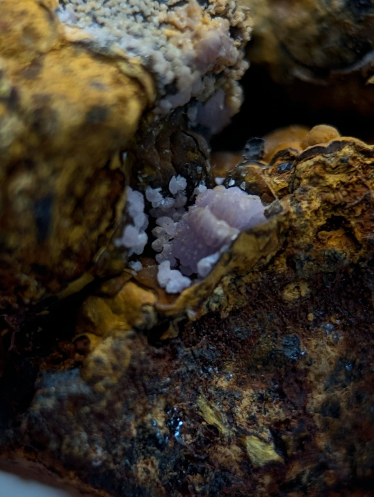 Super Rare Strengite + Cacoxenite, etc, Coon Creek Mine, Polk Co, Arkansas, USA