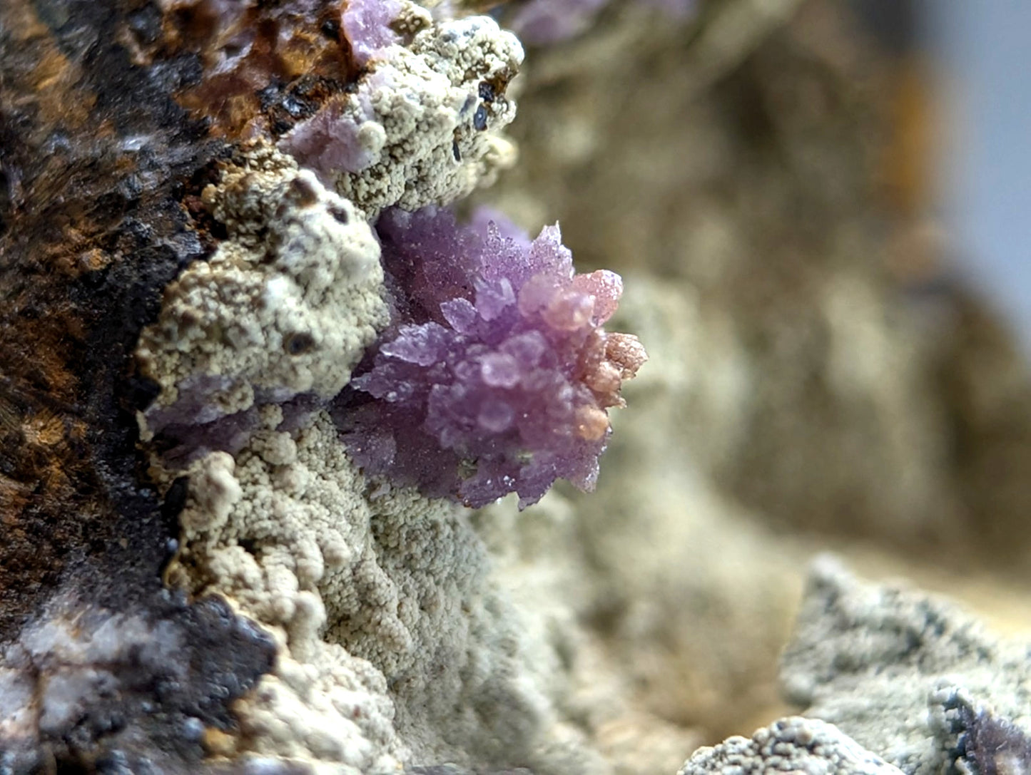 Super Rare Strengite + Kidwellite, etc, Coon Creek Mine, Polk Co, Arkansas, A+++