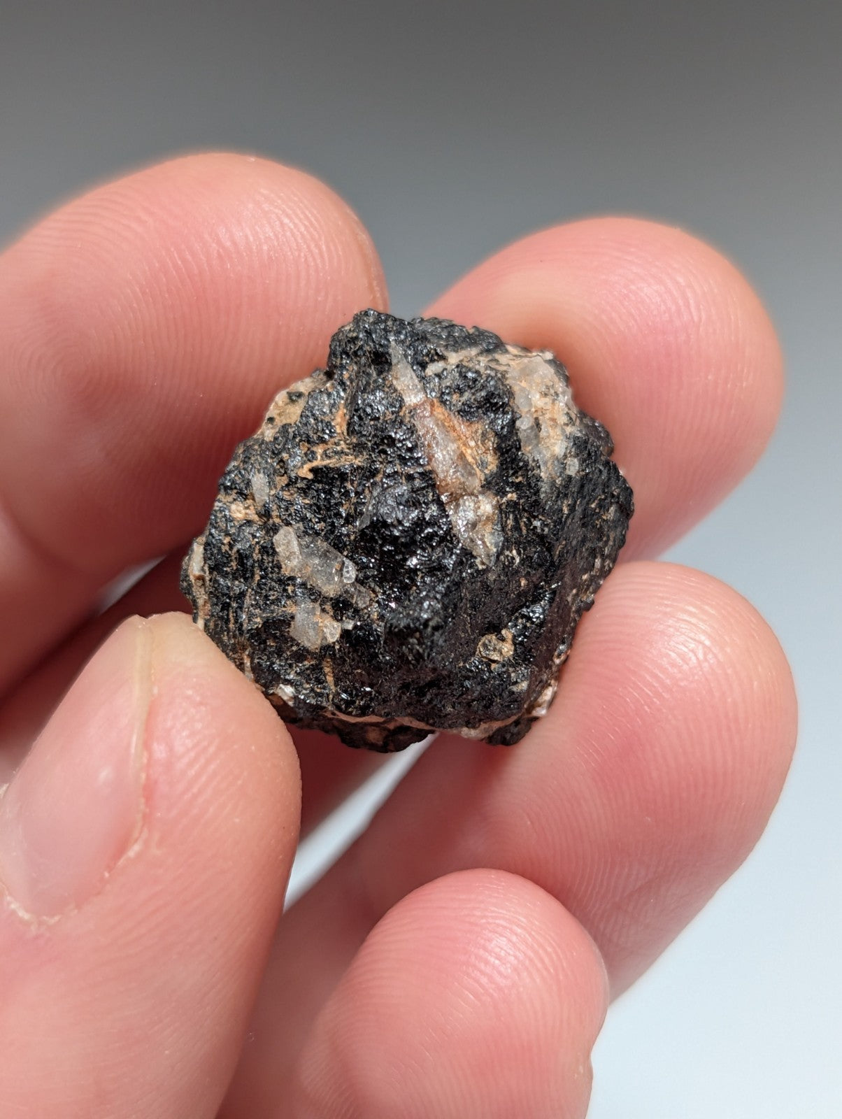 Garnet w/ Fluorapatite OOAK set of 4, Magnet Cove, Arkansas, ex Henry Delinde