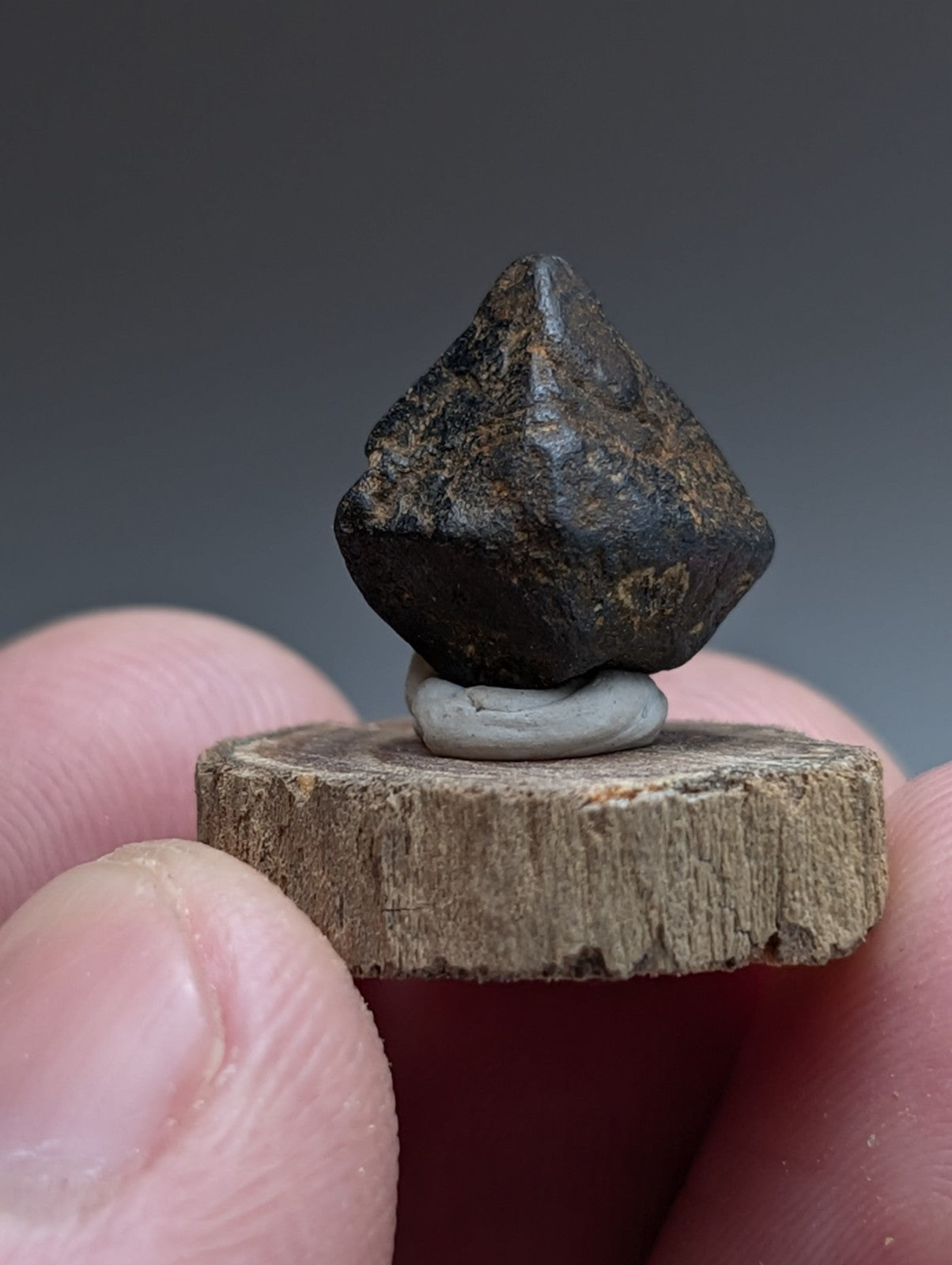 Magnetite Crystal, Magnet Cove Igneous Complex, Arkansas, Old Stock, +wood stand