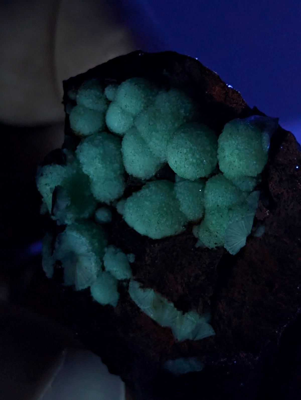 A+ UV Reactive Wavellite -Fantastic Old Stock- Mauldin Mountain, Arkansas, Rare