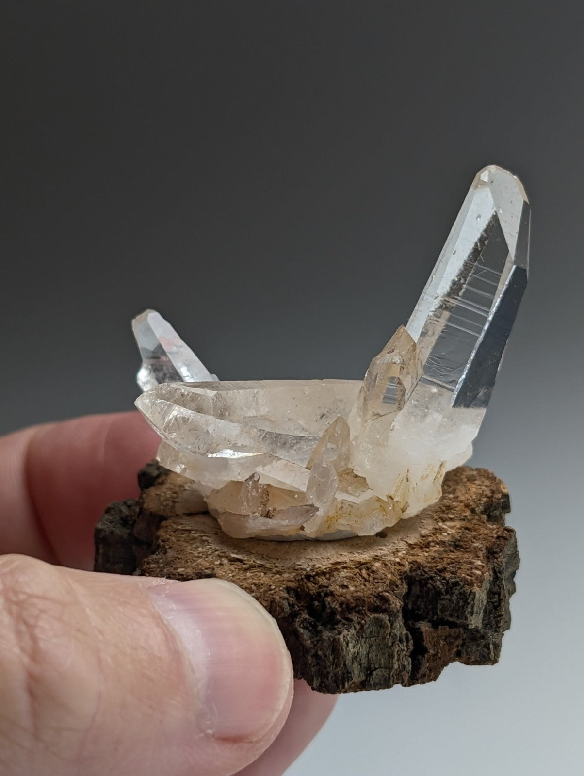 A+ Quartz Cluster, Old Stock, Montgomery County, Arkansas, w/ natural wood base