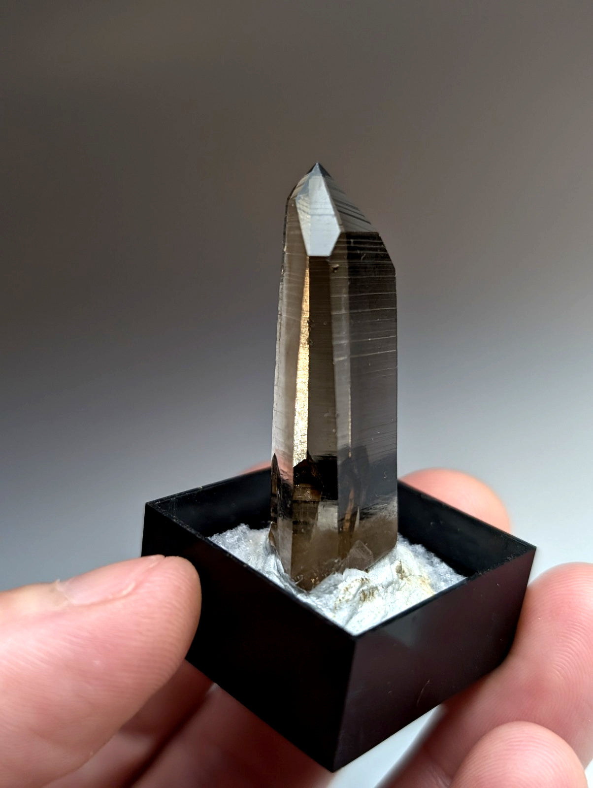 A+ Irradiated Smoky Quartz Crystal Point, Garland County, Arkansas, USA, Delinde
