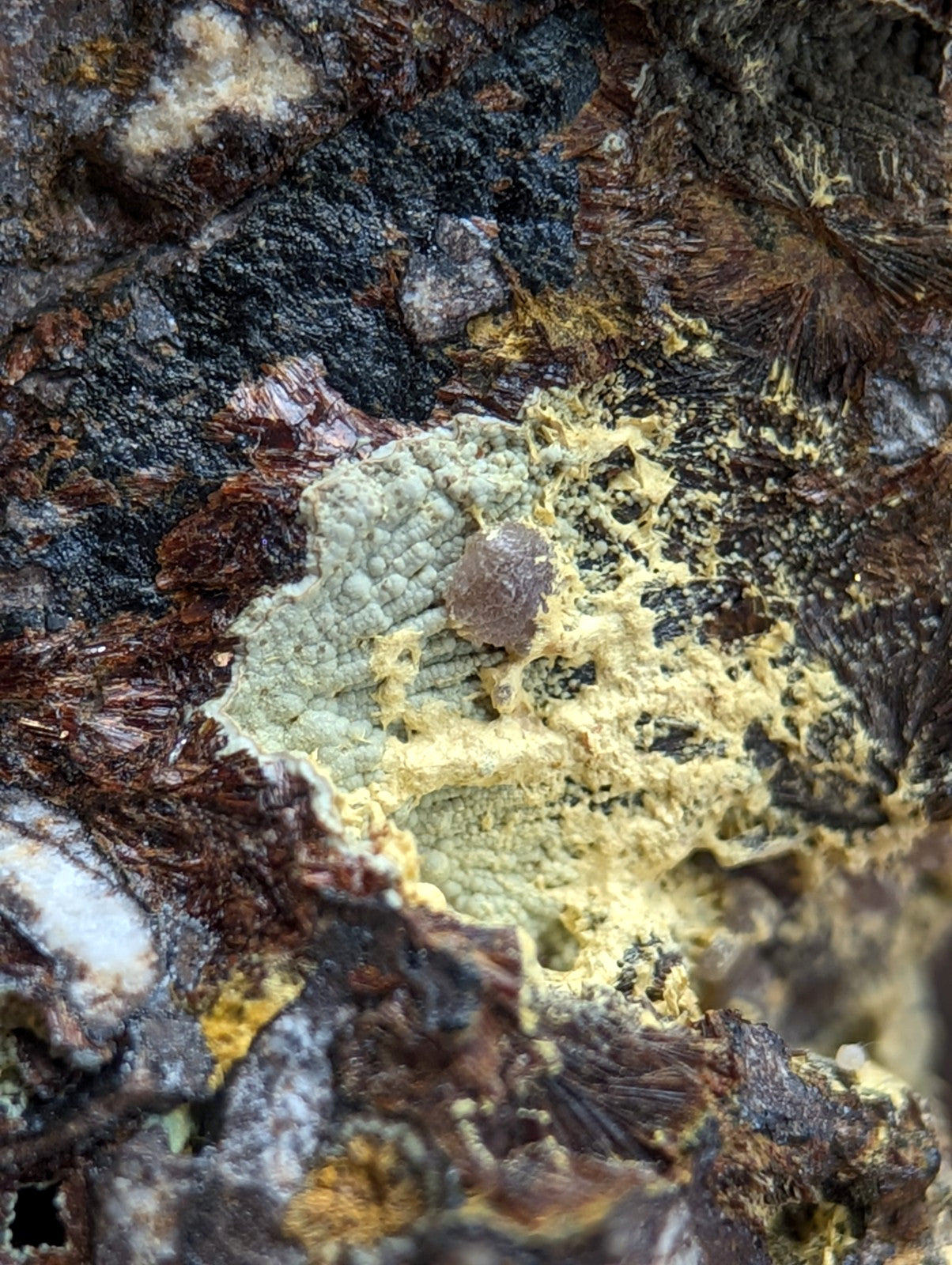 Super Rare Strengite + Kidwellite, etc, Coon Creek Mine, Polk Co, Arkansas, A+++