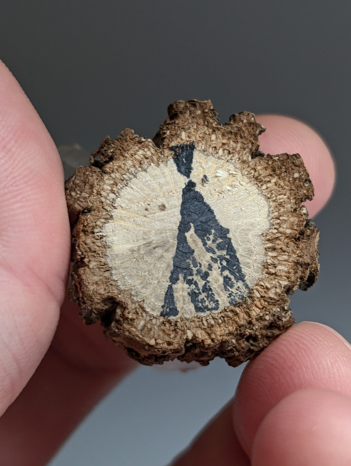 Nacrite included Quartz Crystal, Montgomery County, Arkansas, w/ wood base