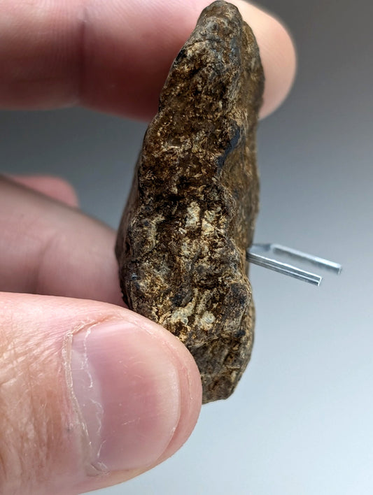 Magnetite (Lodestone), Magnet Cove, Arkansas,Unique Old Stock, natural magnet