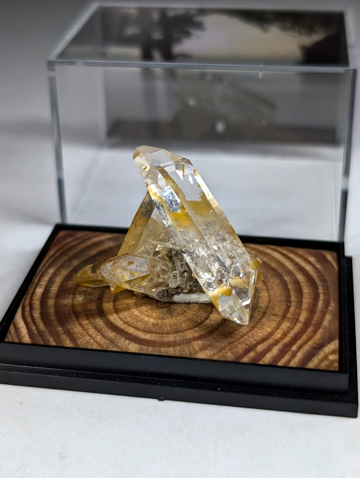 A+ Quartz Crystal Cluster, w/ wood mount + photo case - Garland County, Arkansas