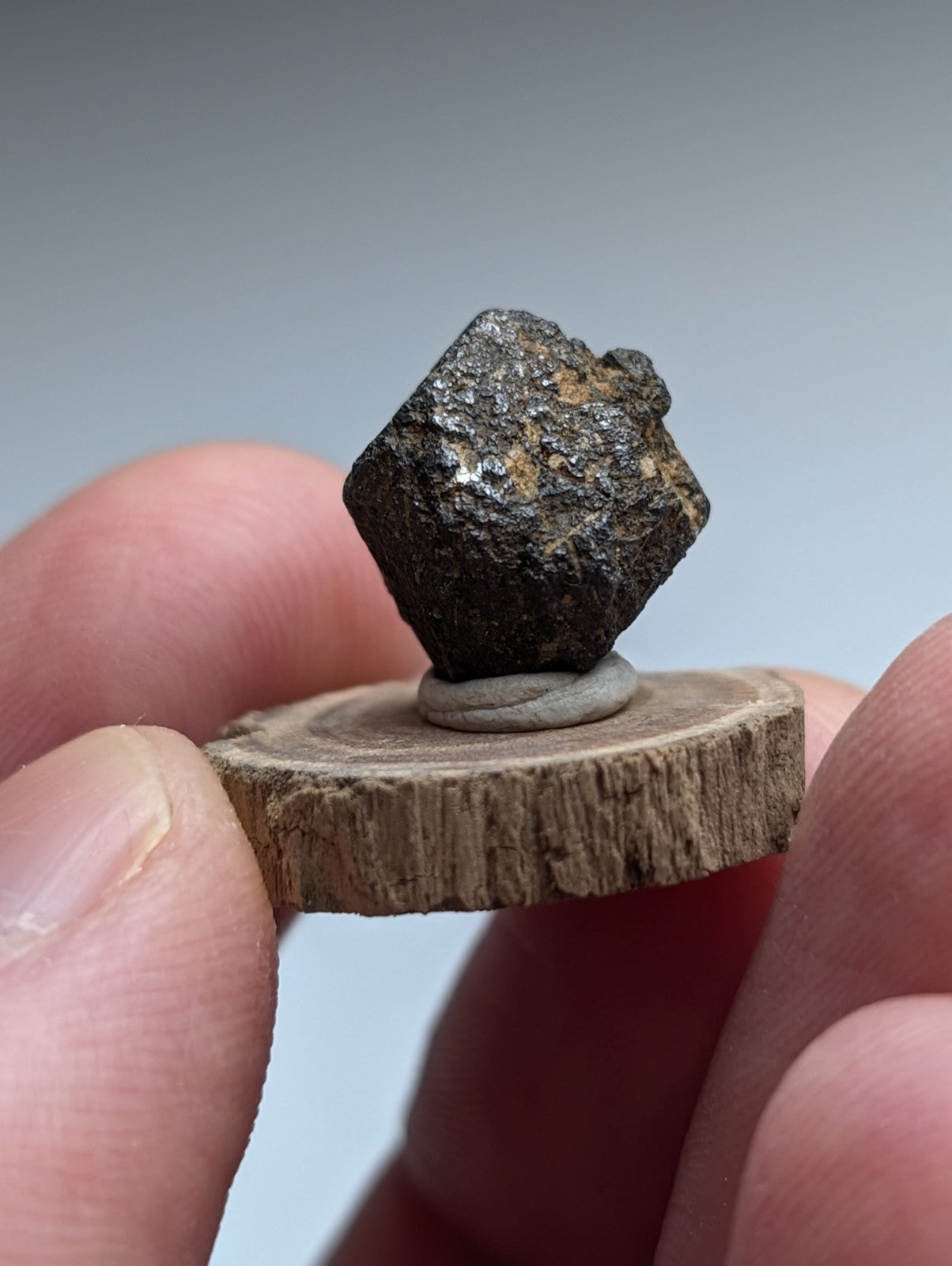 Magnetite crystal, Magnet Cove, Hot Spring County, Arkansas, USA, Old Stock