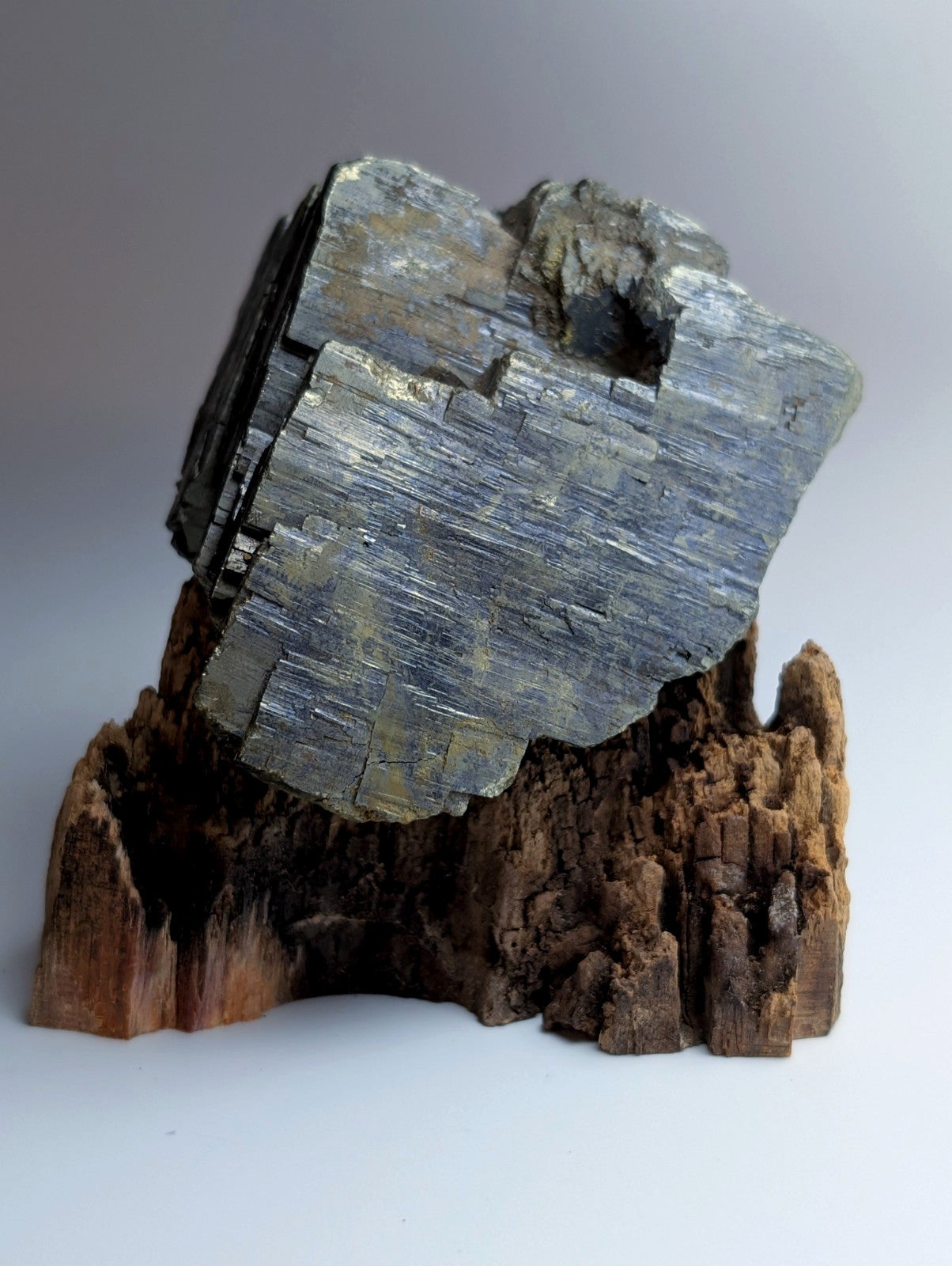 Pyrite with Molybdenum, Magnet Cove, Arkansas, USA, w/ wood display, ex Delinde