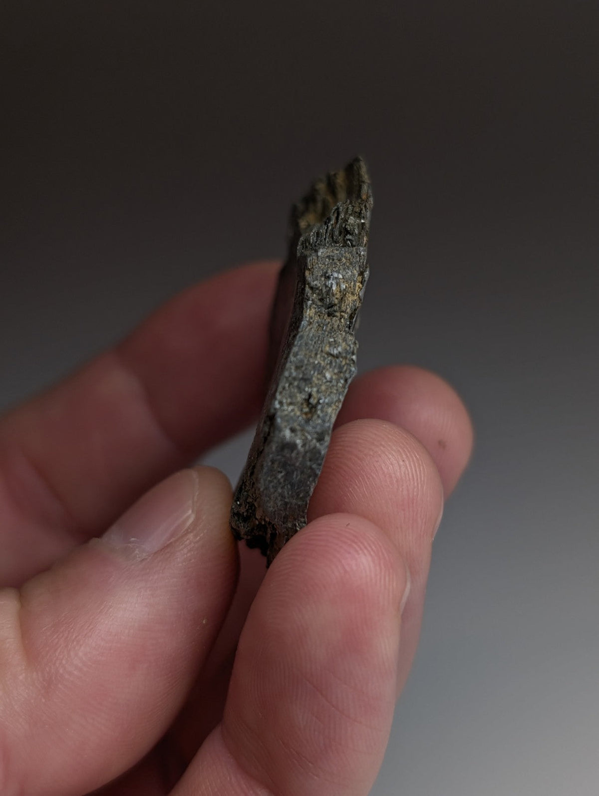 Green Mica, Magnet Cove, Hot Spring County, Arkansas, Unique Old Stock