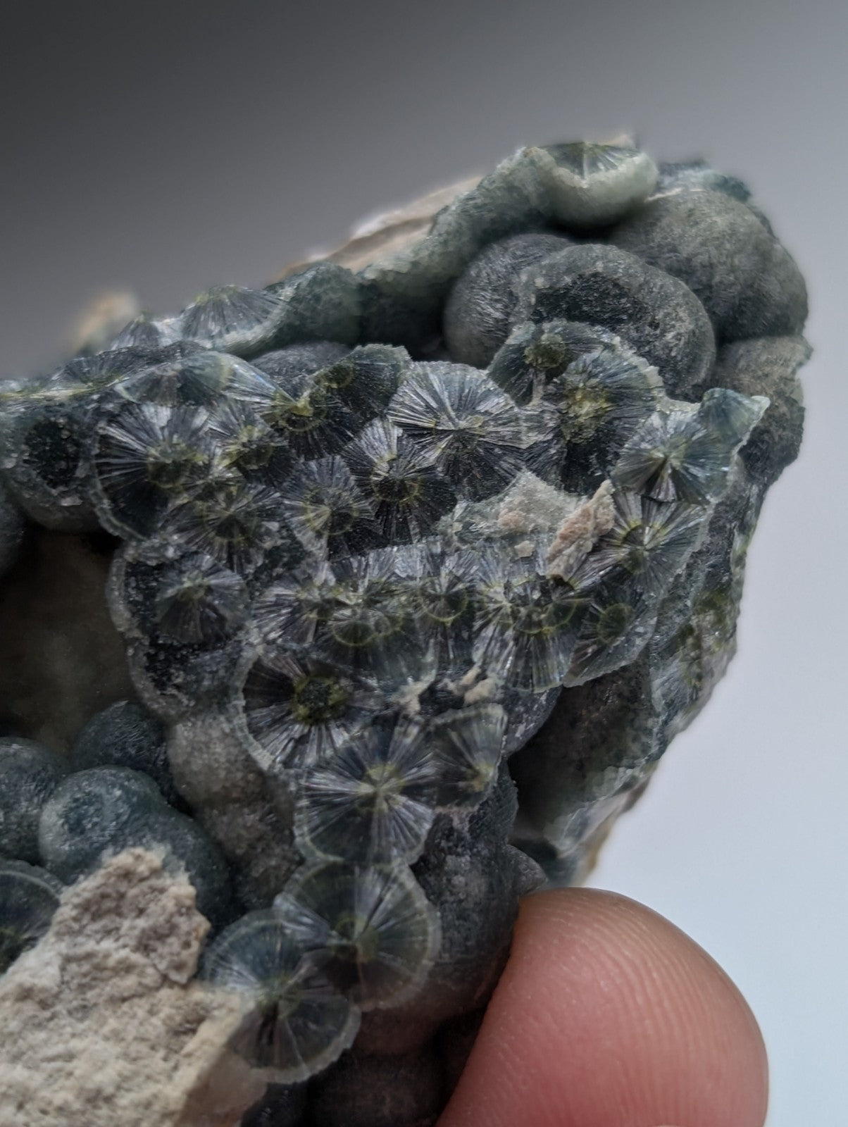 A+++ Blue-Green Wavellite - Old Stock - Delinde Claim - Garland County, Arkansas