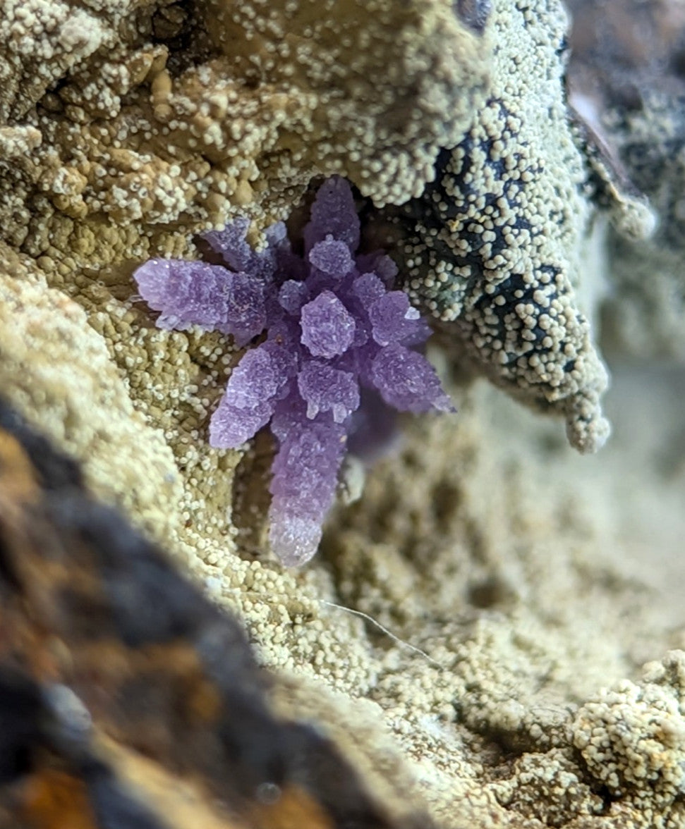 Super Rare Strengite + Kidwellite, etc, Coon Creek Mine, Polk Co, Arkansas, A+++