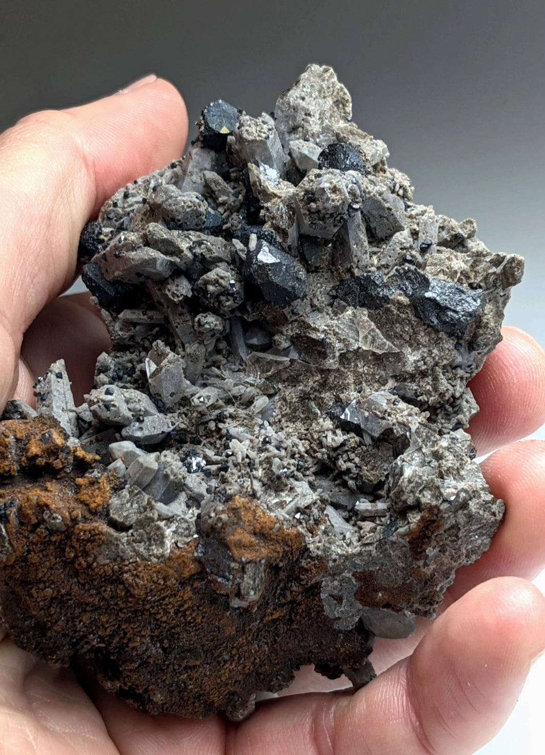 Large Brookite Crystals on Smoky Quartz, Magnet Cove, Arkansas, USA, ex Delinde