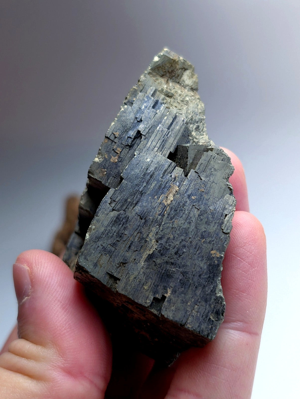 Pyrite with Molybdenum, Magnet Cove, Arkansas, USA, w/ wood display, ex Delinde