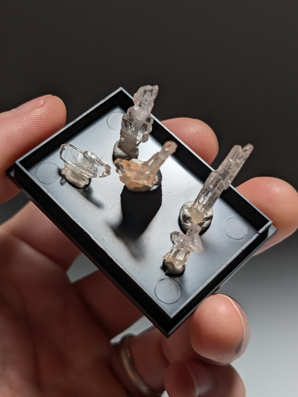 Set of 5 Faden Quartz Crystals, w/ photo case/mount, Montgomery County, Arkansas