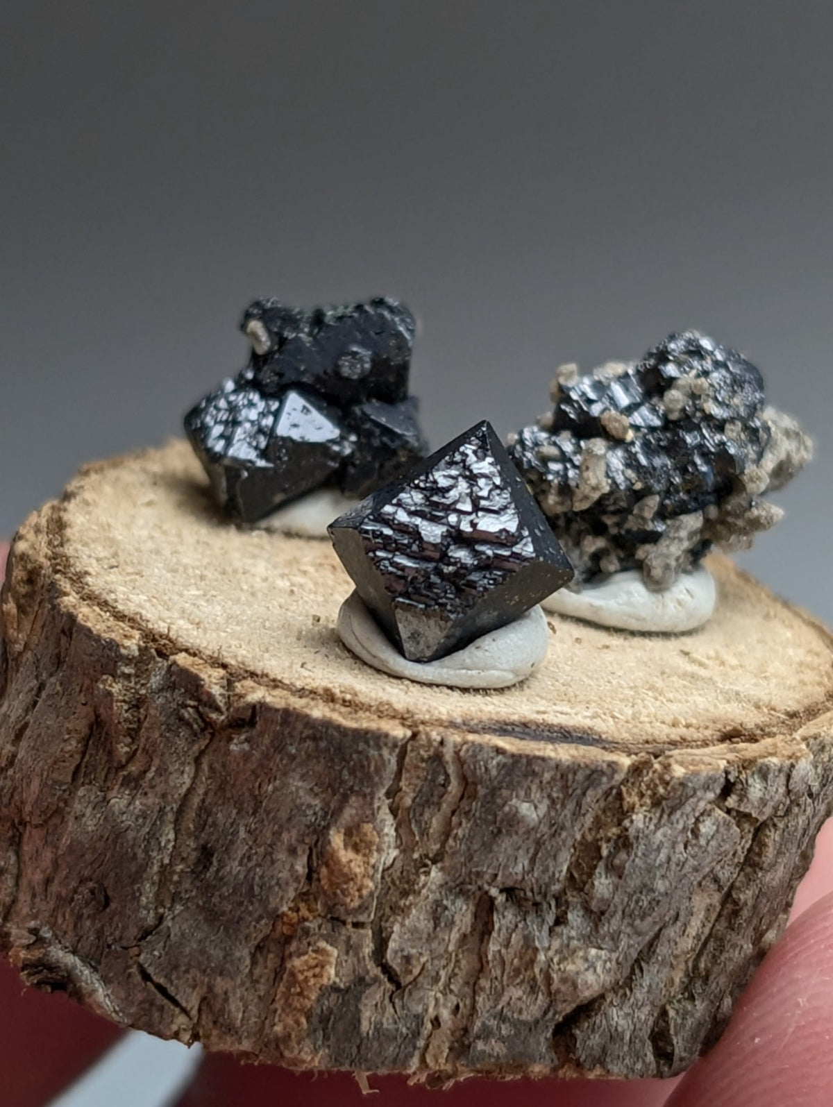 Set of 3 Brookite + Smoky Quartz, Magnet Cove, Arkansas, Old Stock, + wood stand