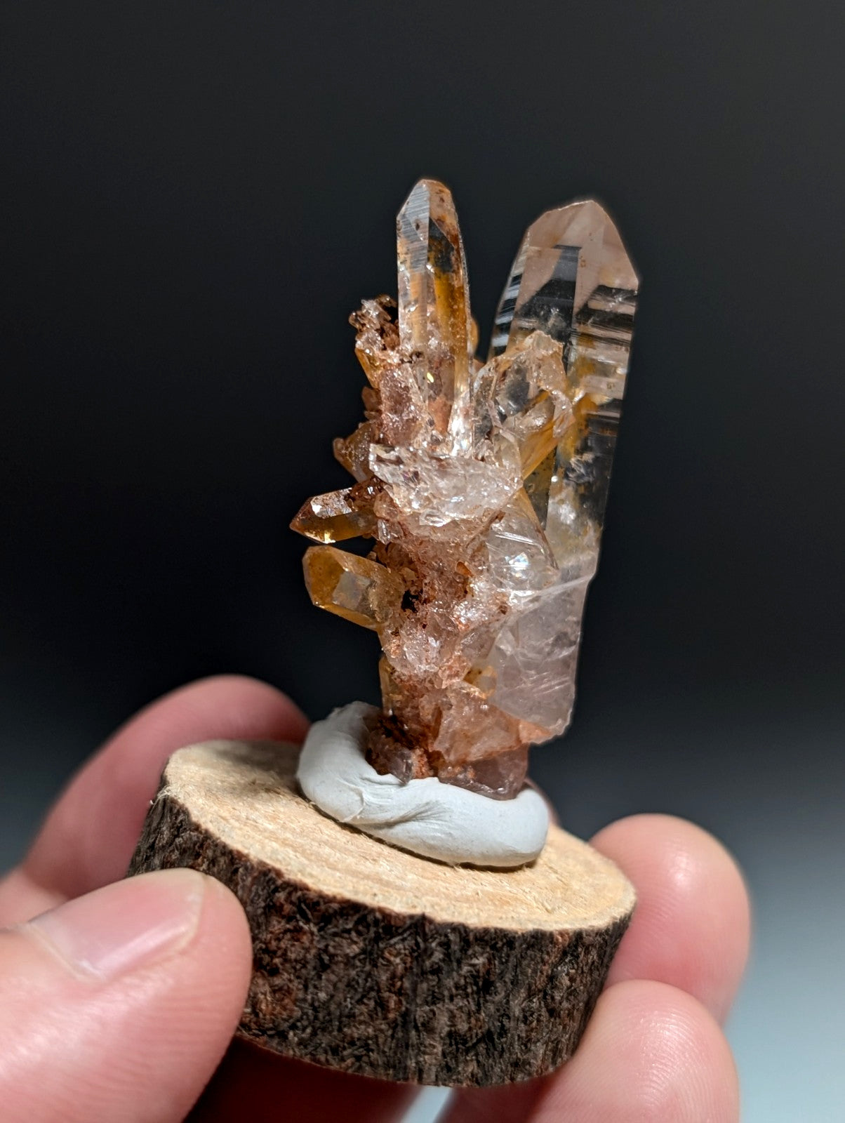 A+ Clear Quartz Crystal Cluster, Garland County, Arkansas, w/ natural wood base