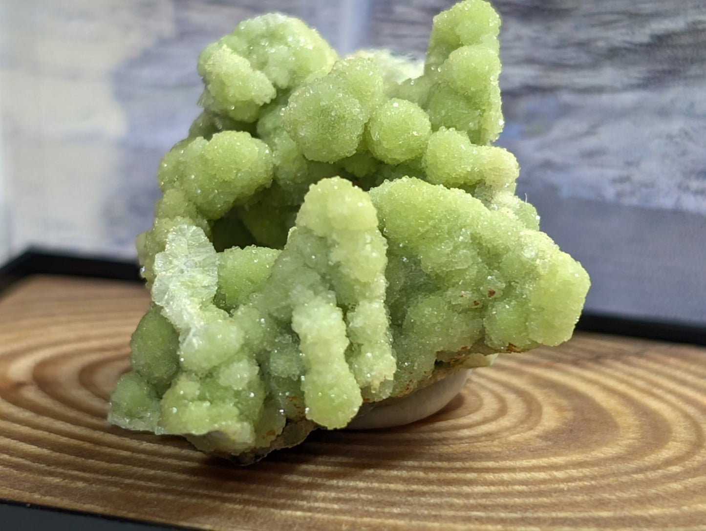 A+ FluorWavellite, w/ wood mount + photo case - Montgomery County, Arkansas