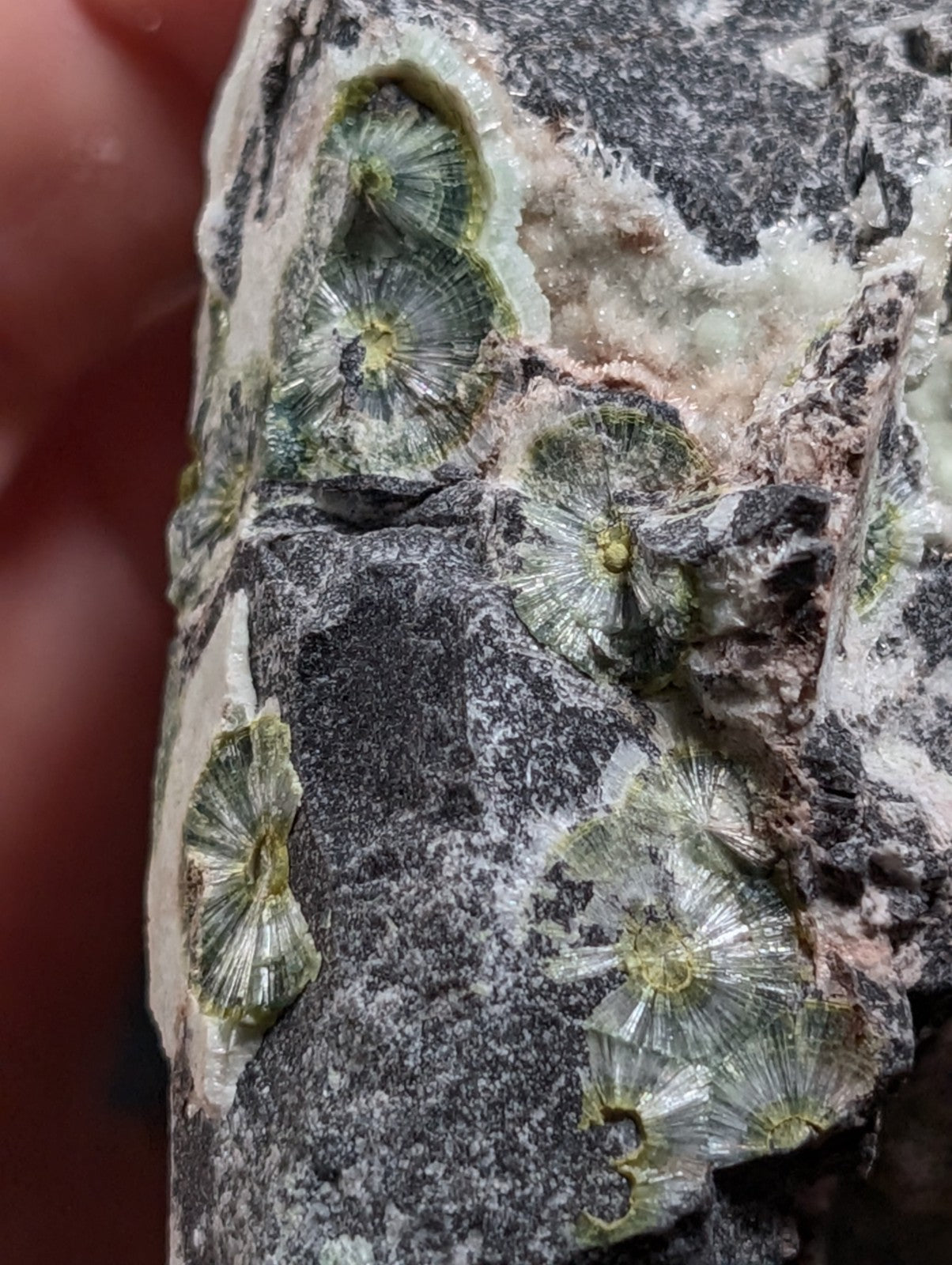 A+++ UV Reactive Wavellite -Old Stock- Mauldin Mountain, Arkansas, USA, RARE!