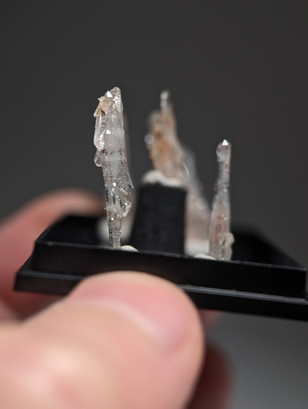 Set of 5 Faden Quartz Crystals, w/ photo case/mount, Montgomery County, Arkansas