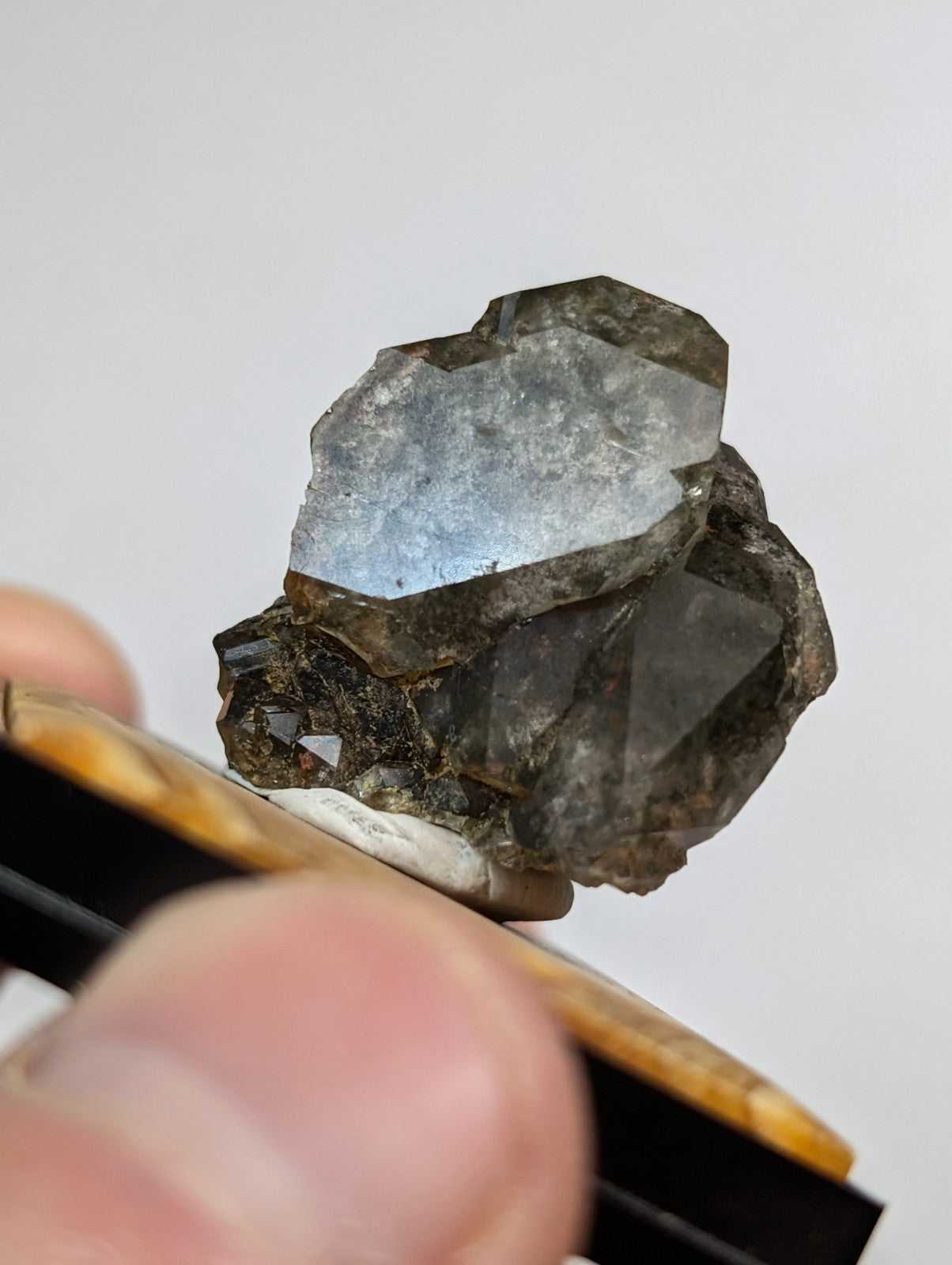 UNIQUE Phantom Quartz, w/ wood mount + photo case  - Garland County, Arkansas