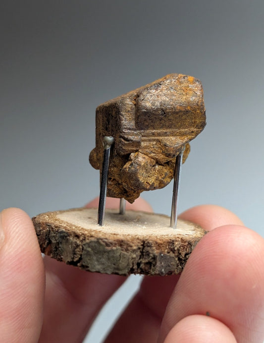 Goethite after Pyrite Pseudomorph, Magnet Cove, Arkansas,  w/ natural wood stand