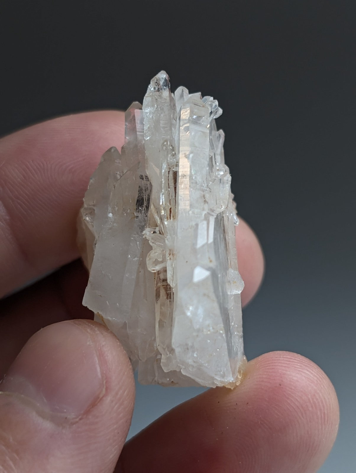 Faden Quartz Crystal, Unique, from Montgomery County, Arkansas, USA