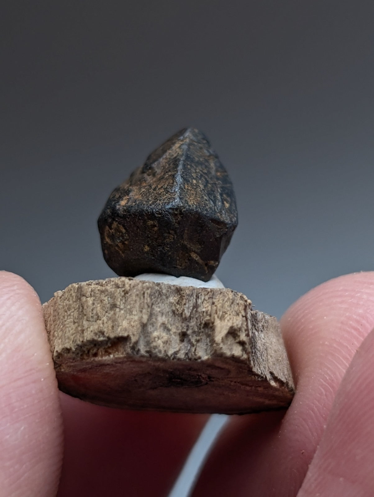 Magnetite Crystal, Magnet Cove Igneous Complex, Arkansas, Old Stock, +wood stand