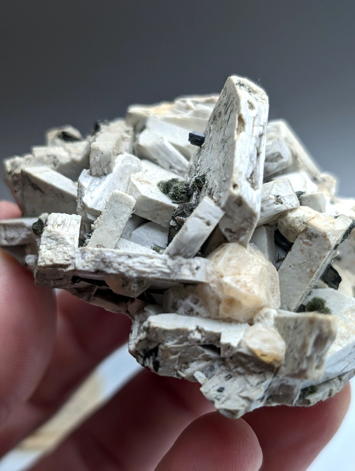 Albite, Biotite, Aegerine, Analcime, 3M Quarry, Little Rock, Arkansas, Delinde!