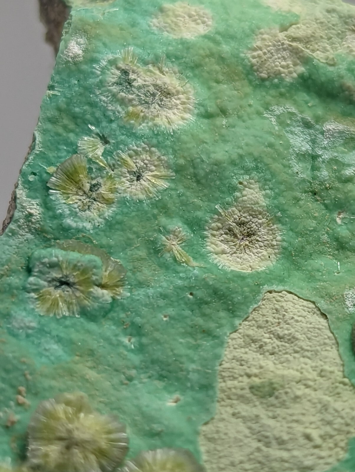 Rare Wavellite Smile Face on Variscite - Old Stock - Garland County, Arkansas