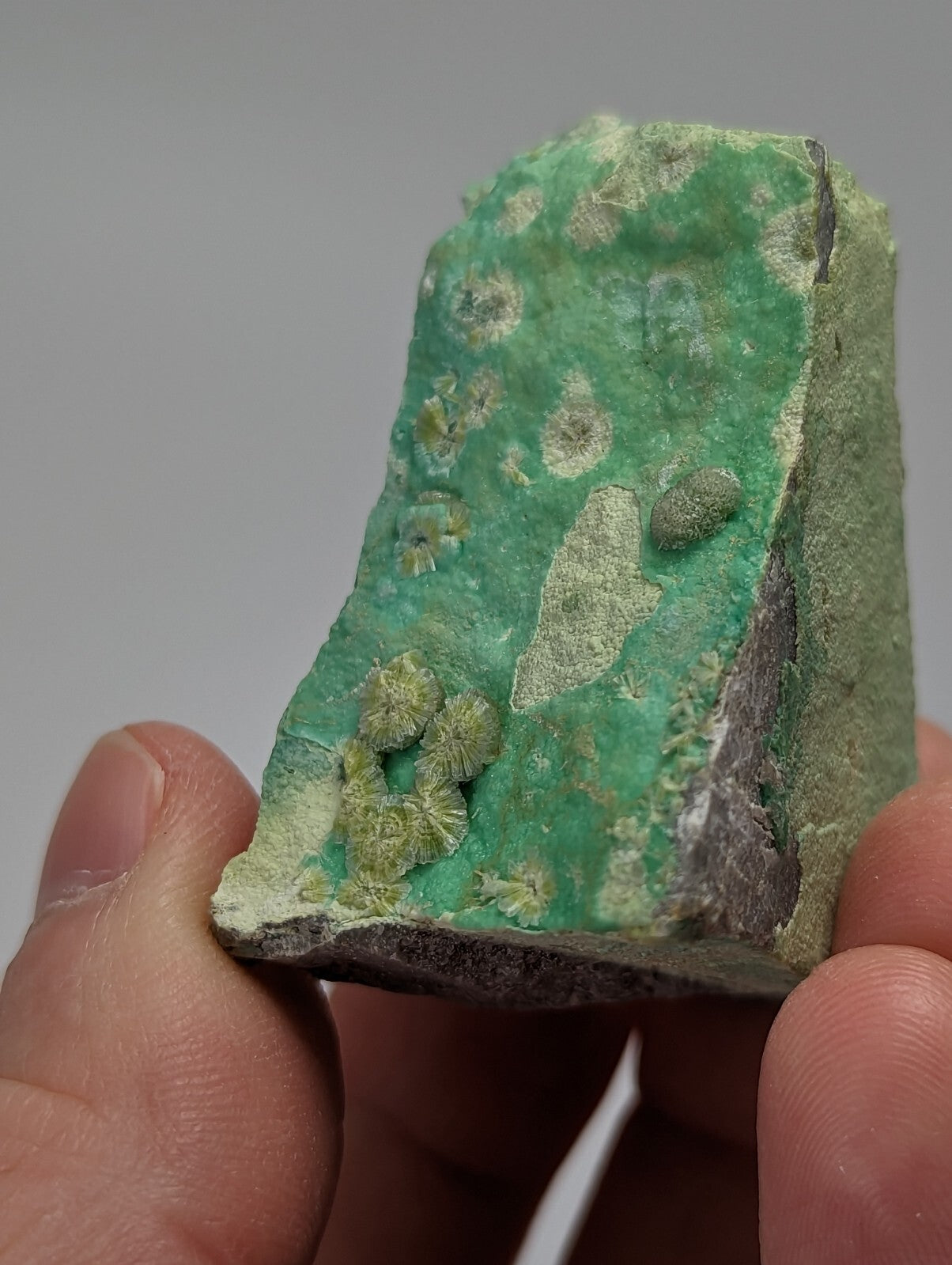 Rare Wavellite Smile Face on Variscite - Old Stock - Garland County, Arkansas