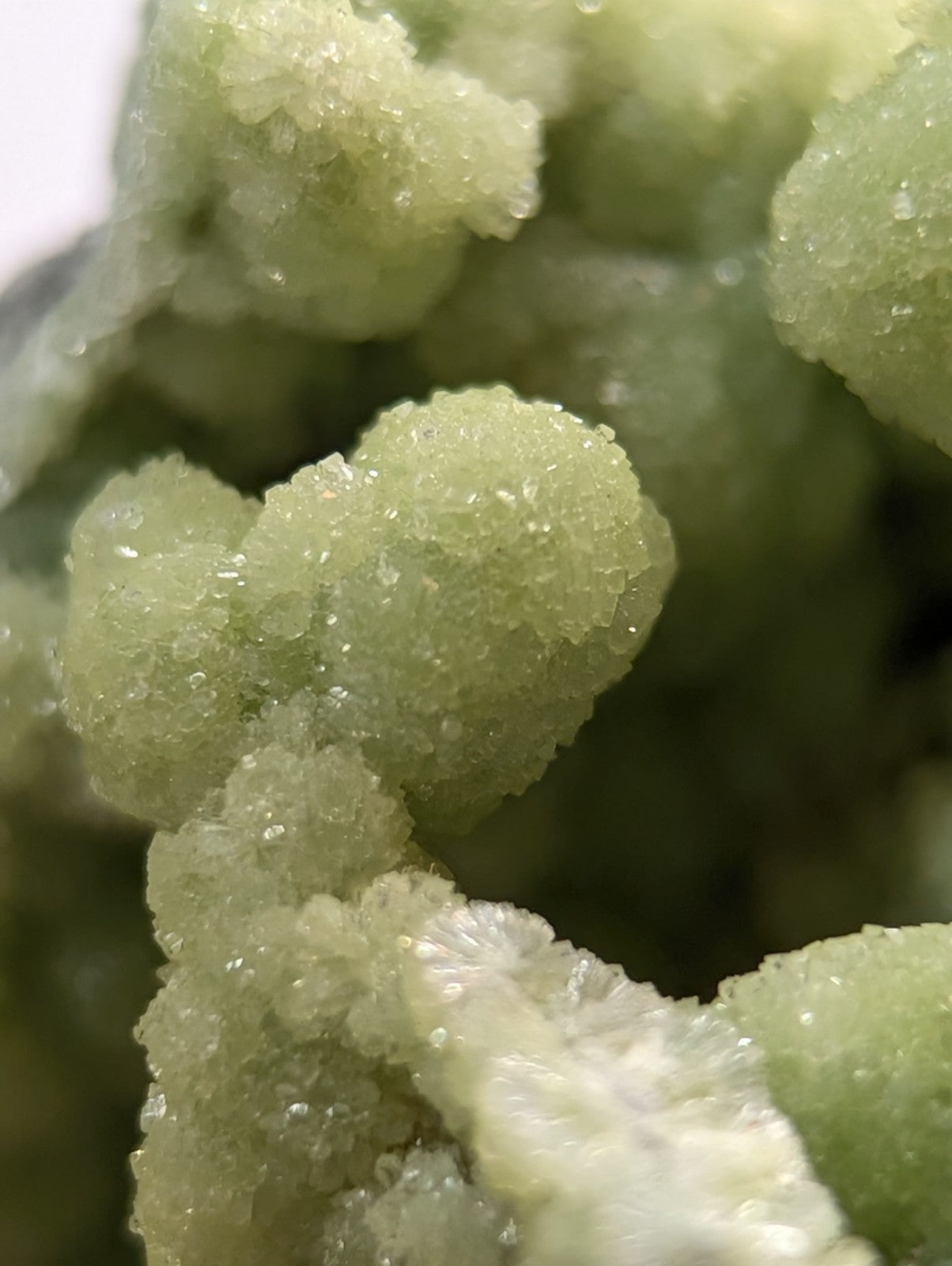 A+ FluorWavellite, w/ wood mount + photo case - Montgomery County, Arkansas