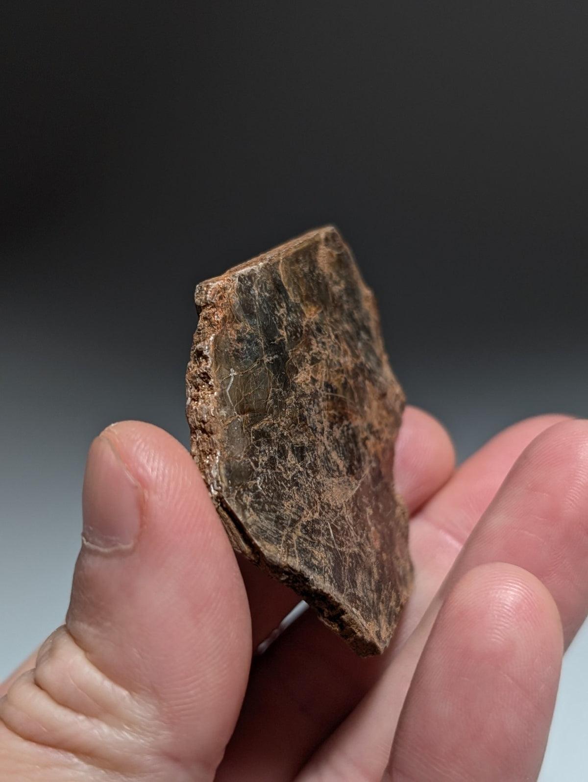 Green/Brown Mica, Magnet Cove, Hot Spring County, Arkansas, USA,Ex Henry Delinde