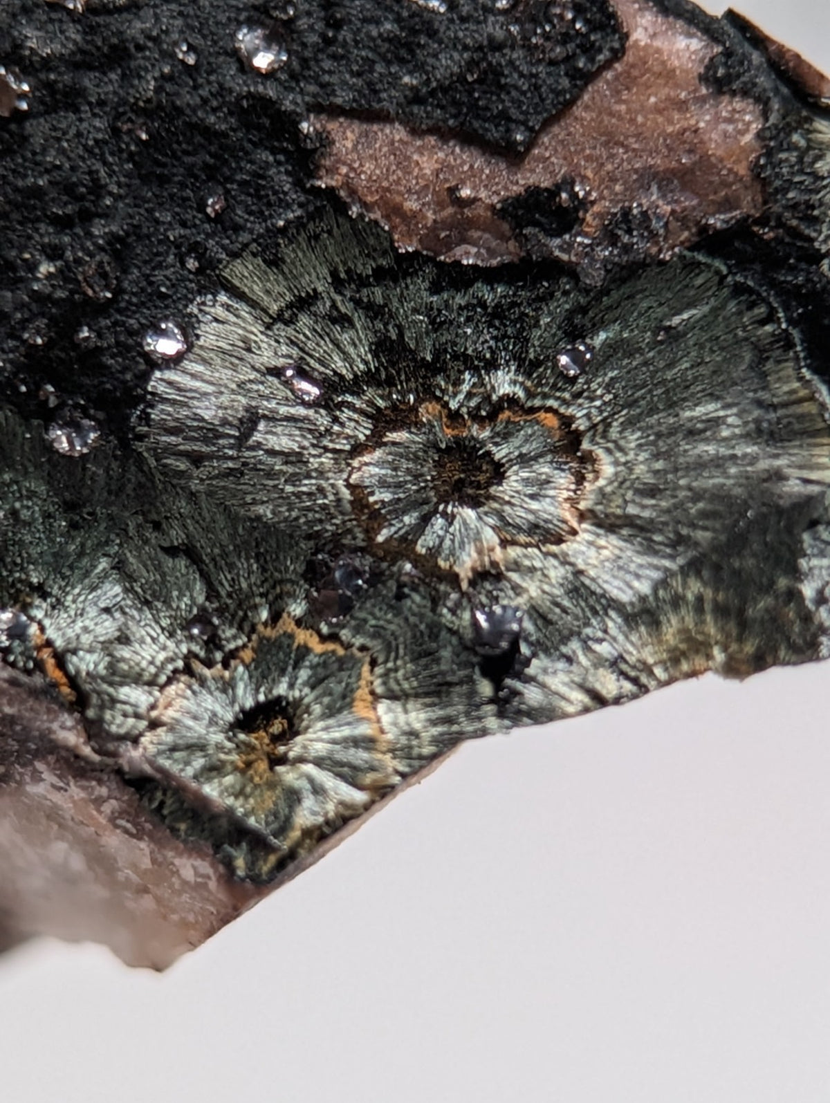 Rare Kidwellite specimen - Coon Creek Mine, Polk County, Arkansas, USA