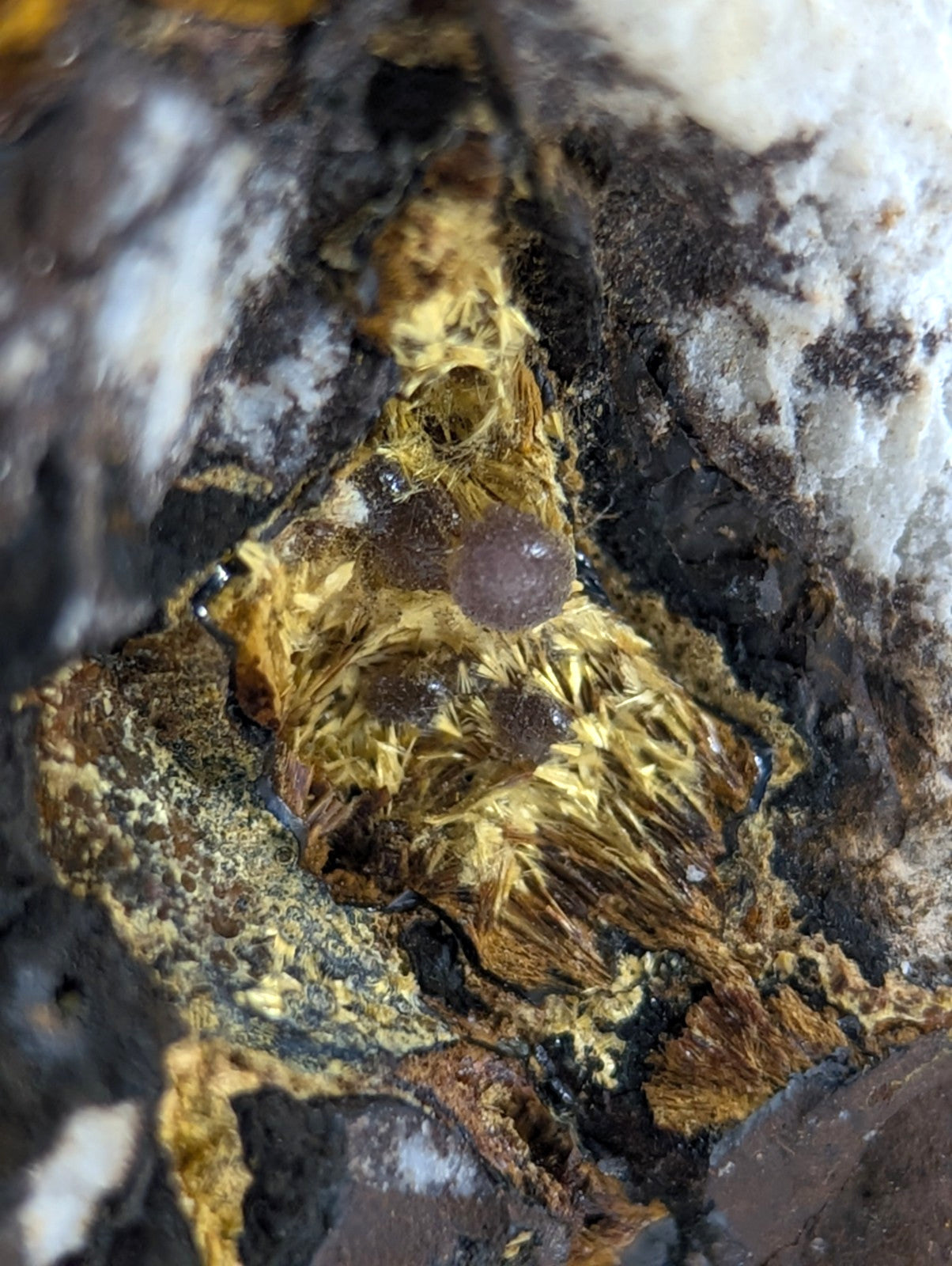 Super Rare Strengite + Kidwellite, etc, Coon Creek Mine, Polk Co, Arkansas, A+++