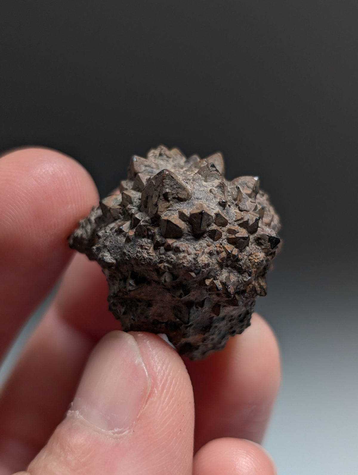 Limonite & Pyrite Pseudomorph, Benton County, Arkansas,  Ex Henry Delinde!
