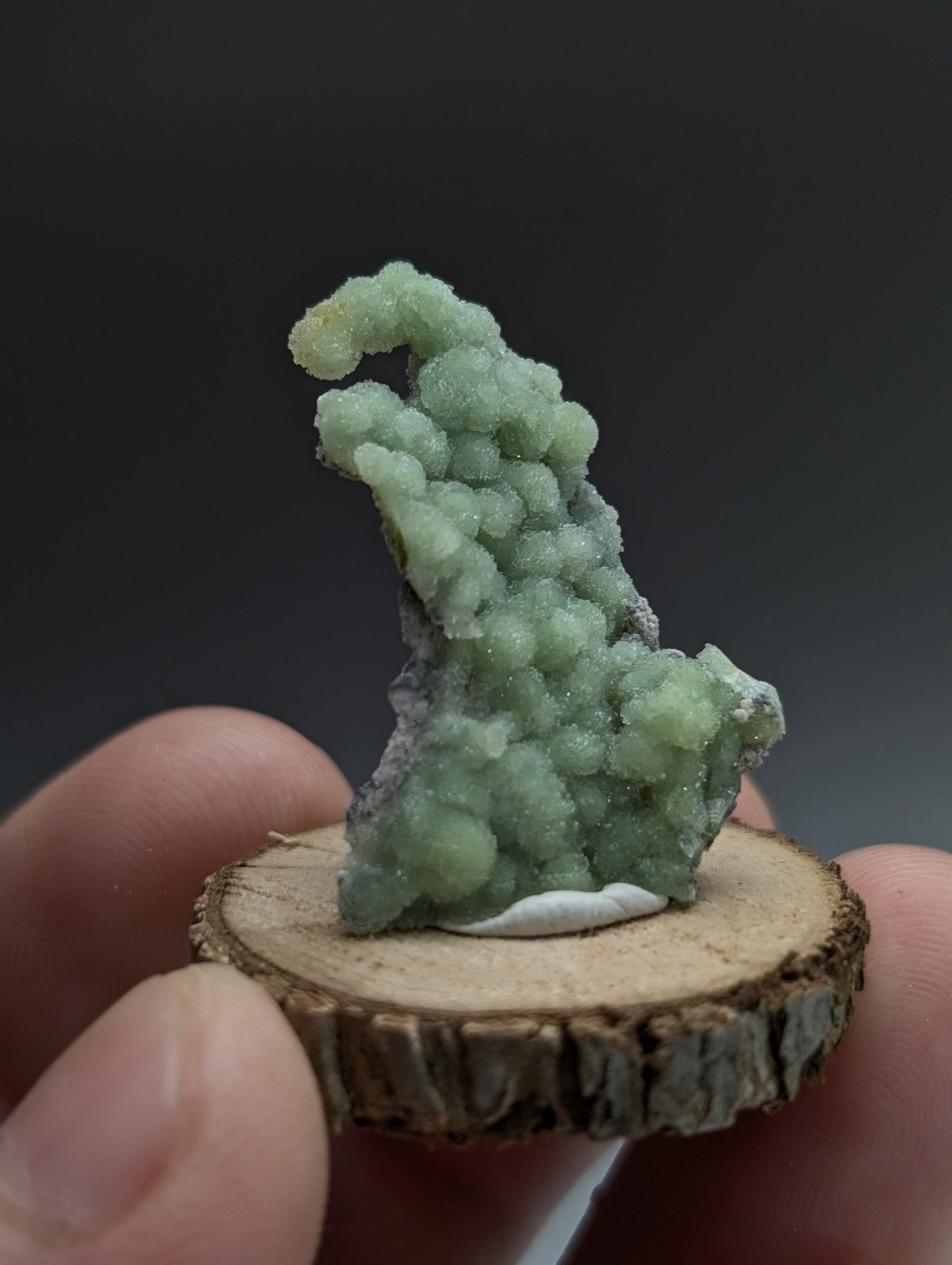 Very Unique Wavellite, Montgomery County, Arkansas, USA, w/ wood mount