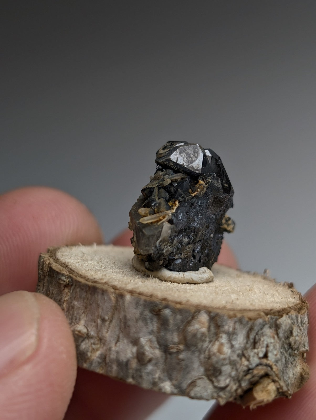 Brookite + Smoky Quartz, Magnet Cove, Arkansas, Old Stock, + wood stand