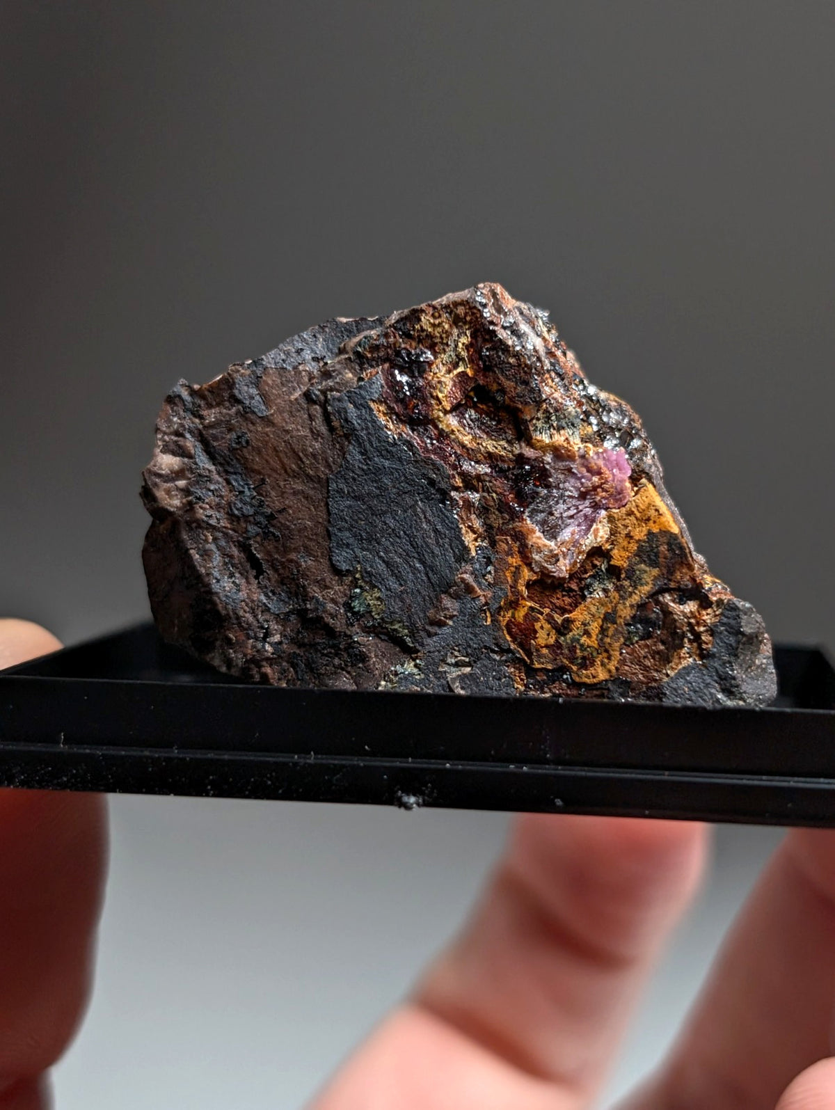 Rare Strengite + Kidwellite- Coon Creek, Polk County, Arkansas, w/ photo case